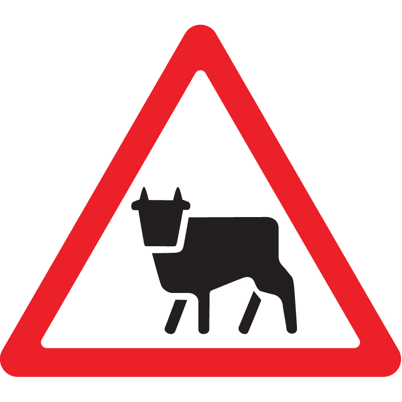 Дорожный знак 1.26 Перегон скота (A=900) Тип В